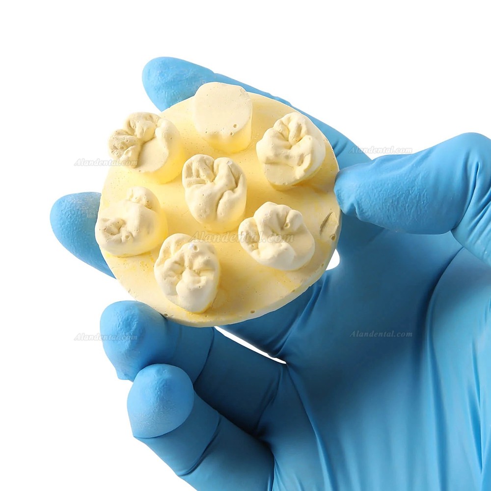 3Pcs/Bag Dental Tooth Morphology Practice Model U6/L6/U4 Positions Training Kit (Gypsum/Resin)